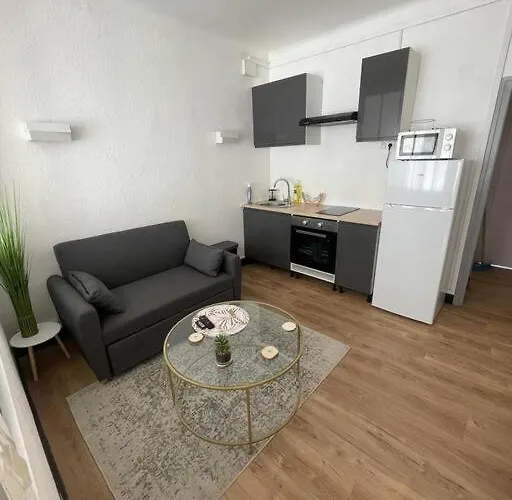 Magnifique T1 Bis Entierement Refait A Neuf Daire